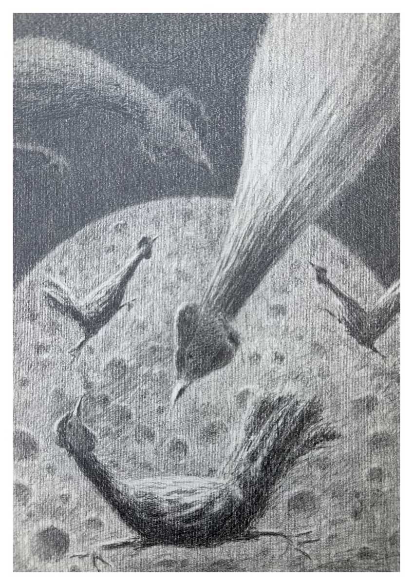 Untitled_MR15 by Mahmoud Ragab, Image 1.
