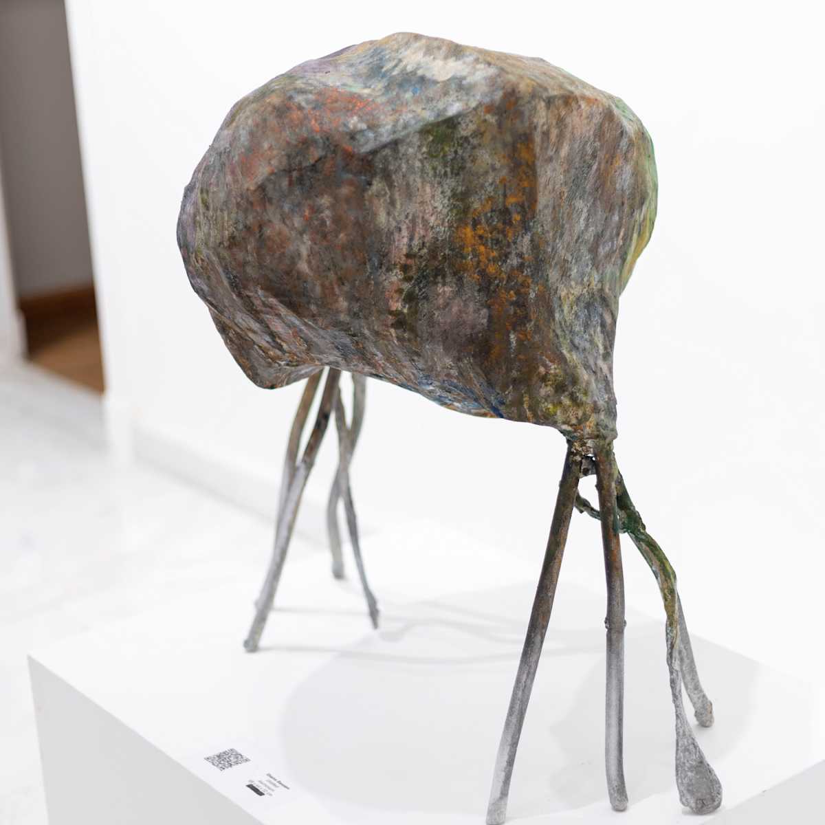 Jelly Fish 1 by Shams Bassem 