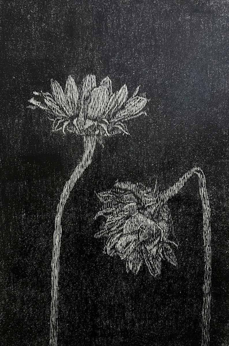 Untitled by Moussa Mohamed, Image 4.
