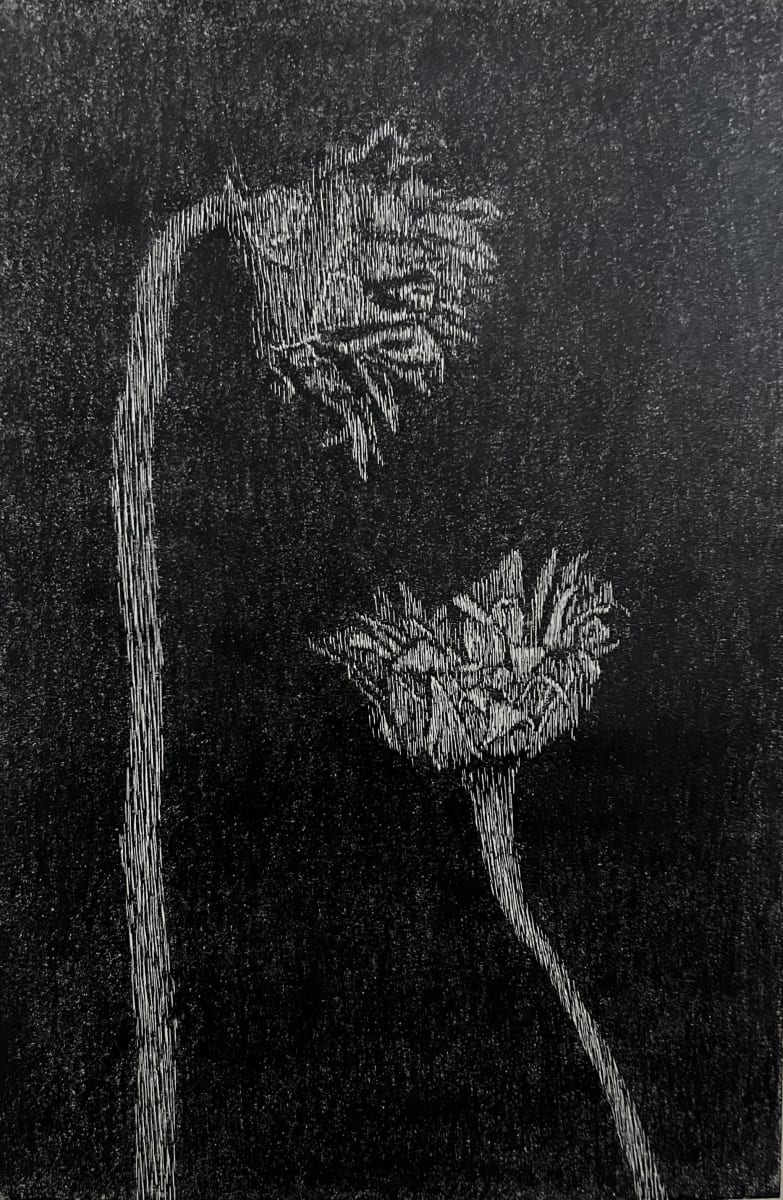 Untitled by Moussa Mohamed, Image 5.