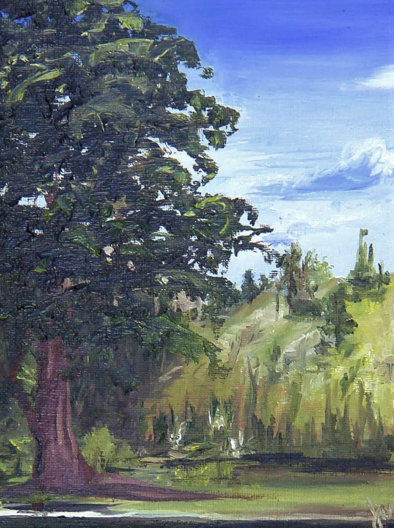 View Across Silver Lake 
