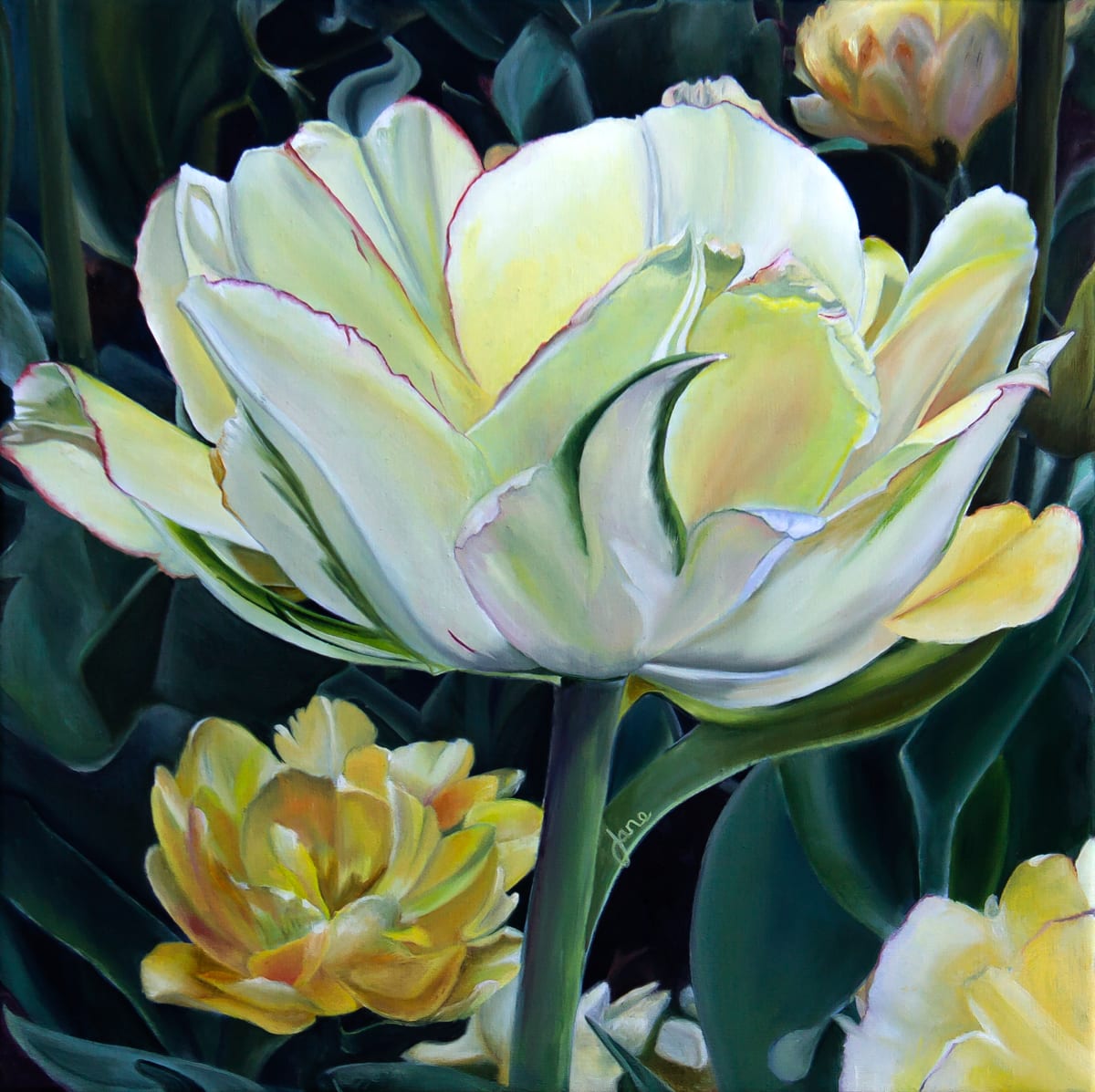 Hello Yellow by Nila Jane Autry  Image: First finished in Black and White, then came this delicate Tulip painting in color.  Vibrant tulips with layers of white and yellow petals are depicted against a dark leafy background. The lighting highlights the delicate edges and subtle color gradients across the flower's petals.