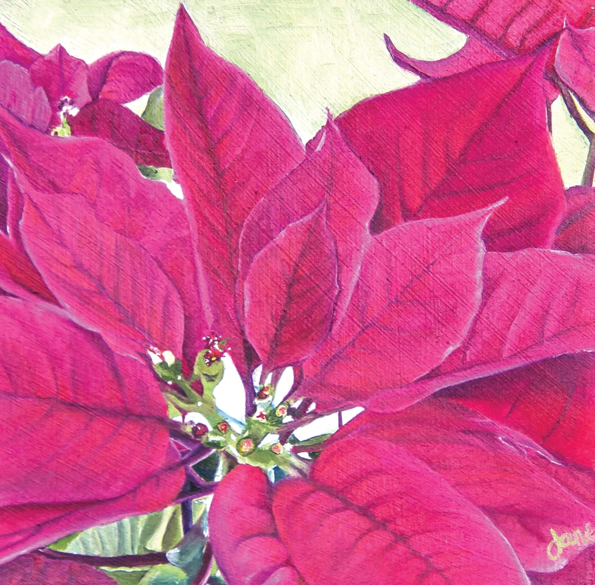 Everlasting Joy by Nila Jane Autry  Image: Star of Bethlehem, Merry Christmas! I've always loved Poinsettia's, at least since the Christmas season my adopted sister and her handsome husband and cute kiddos came Christmas Caroling to my home and brought me my first living Poinsettia. Never noticed them before. My Love Language is Gifts. Just the fact that they spent their hard earned money on a gift for me...and I've loved Poinsettias more and more as the years have gone by. It was time to paint one.  I also love the symbolism. The color Red symbolizes the Blood of Christ which was shed for us, and the star shape of the petals represents the Star that guided the Wise Men to find the baby Jesus.