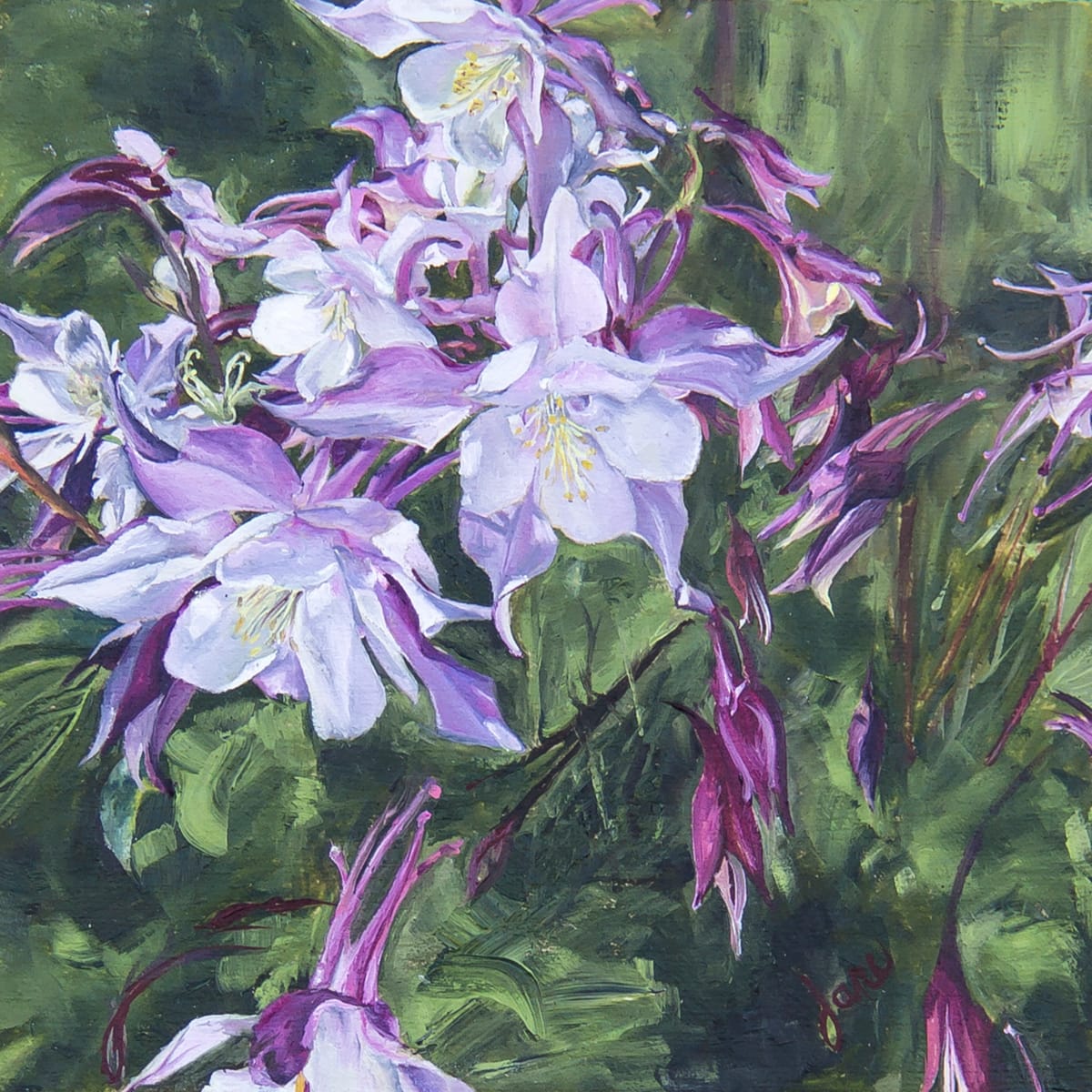 Columbine Chaos by Nila Jane Autry  Image: Columbine is such a delicate little flower, and appears to be dancing.  Growing profusely at the Fawson Farm here in my hometown of Grantsville, Utah, I wandered looking for the perfect painting, and I found this.  Painting en plein air is something I love to do but I also love the control I have in my Art Studio.  This is a combination piece, begun in plein air and finished in studio.  I love what Columbine Flowers stand for, and have painted them many times, always in their environment. 
