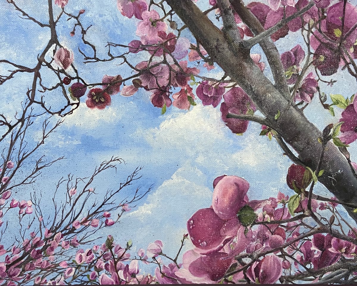 Mesmerizing Magnolia Trees 