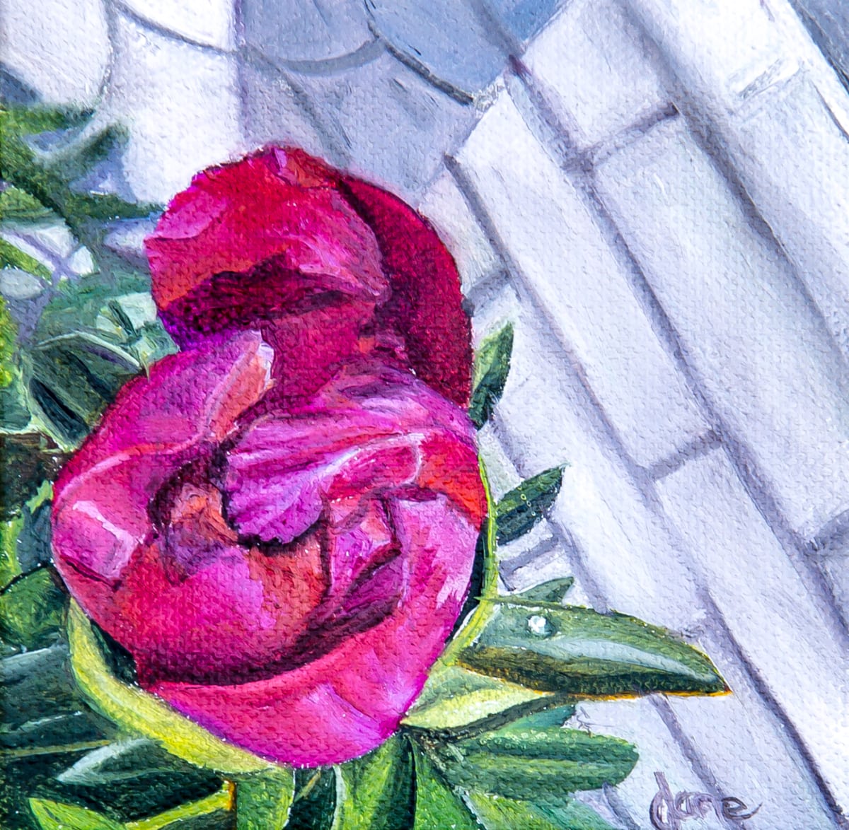 June Peony by Nila Jane Autry  Image: And she opens! A vividly colored flower pops against a contrasting background of cool grey tones. The petals display a dynamic range of purples and reds, with lush green foliage nestled beneath.