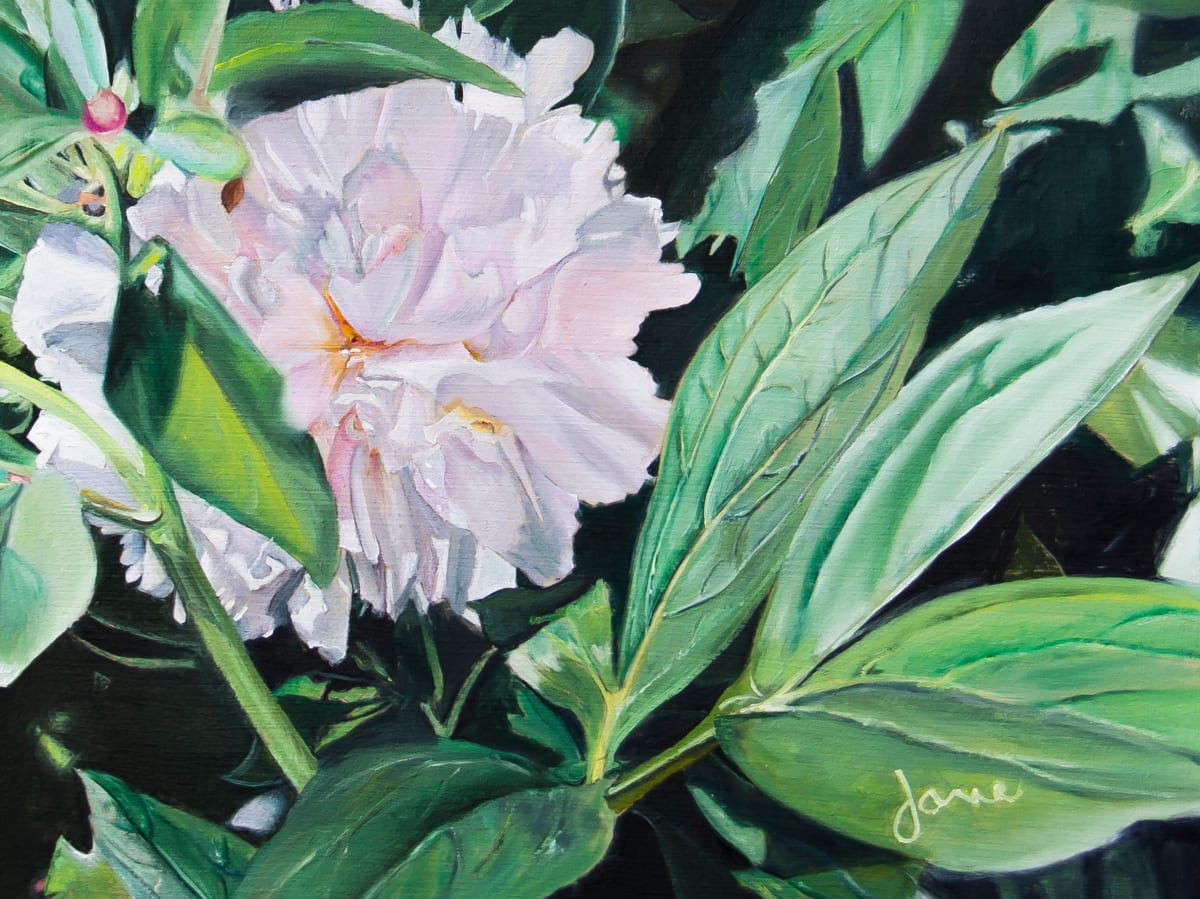 Shy Peony by Nila Jane Autry  Image: I started this en plein air painting for the Tooele City Arts Councils 2024 Plein Air Competition. I finished it in Studio.  It won first place!