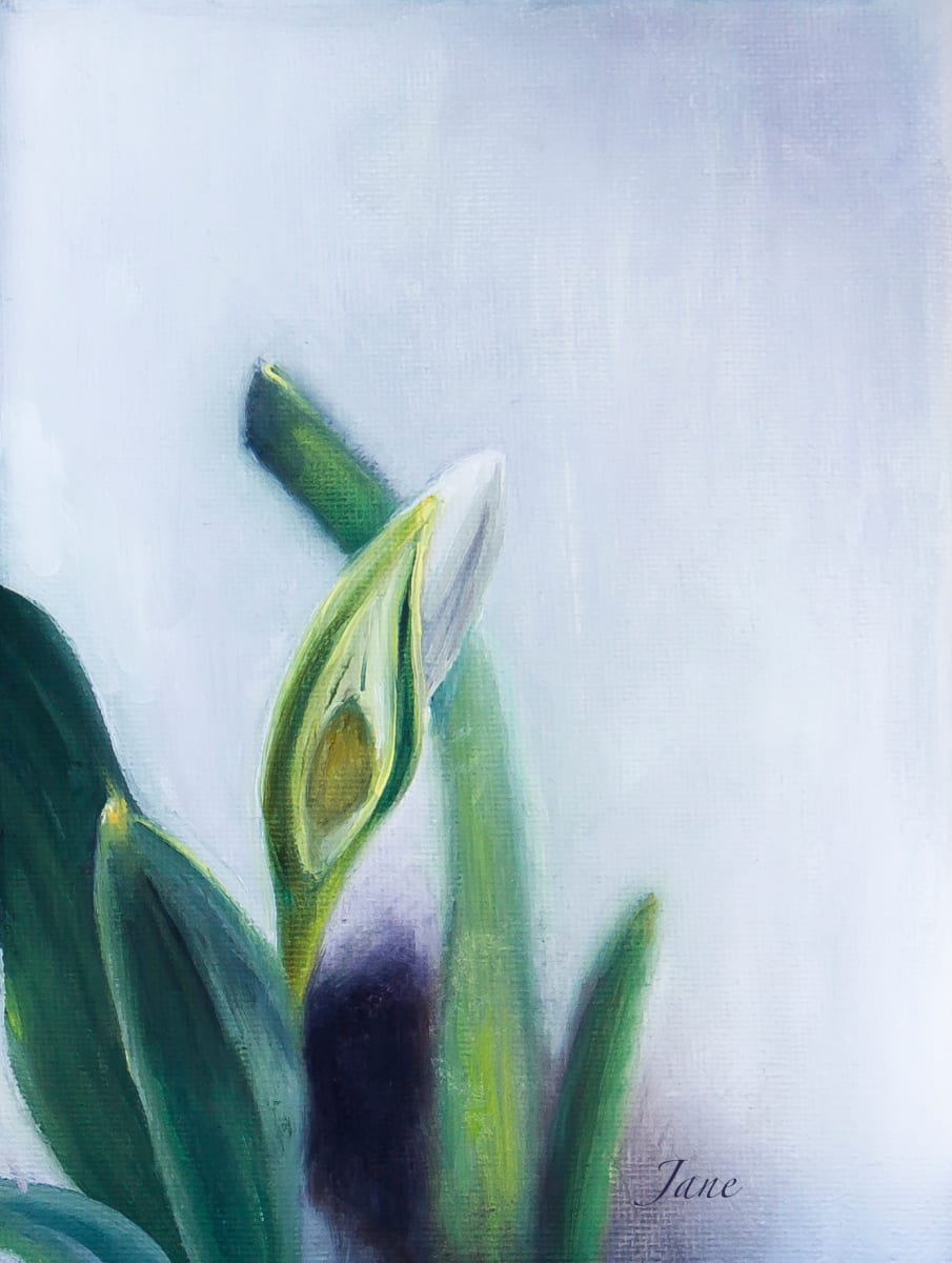Snowdrop by Nila Jane Autry  Image: A partially opened white Snowdrop bud surrounded by green leaves stands out against a light, blurry background. The soft blending of colors creates a calming and serene tone.