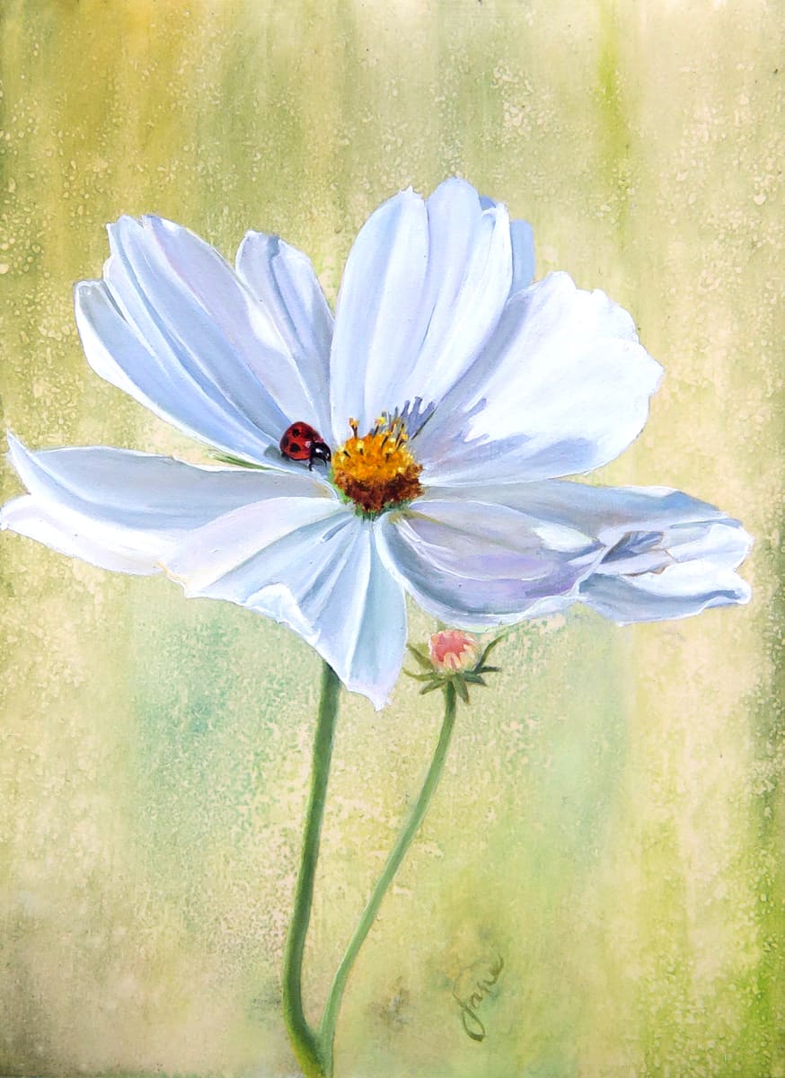 It Rained While I Painted the Cosmos and the Ladybug by Nila Jane Autry  Image: Currently I'm working on a Pollinator series...could it be because I've been invited to do a one woman show at the Red Butte Gardens this summer?  This cute little piece was begun en plein air at my friends garden, and yes it began to rain.  My watercolor friend packed up her stuff immediately, but I reasoned that I was painting in Oils so it wouldn't hurt...Loved the texture created by rain on my background so I did my best to preserve it.  