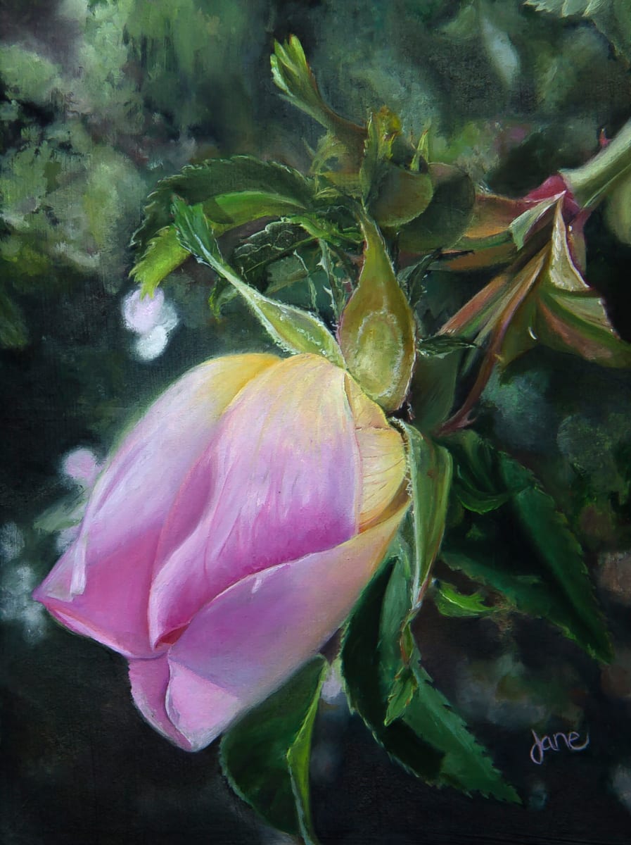 To A Wild Rose by Nila Jane Autry  Image: Plein air competition and me, the Flower Girl...I found a wild rose bush in the middle of a field of rocks and weeds.  Yes, I won 1st place.