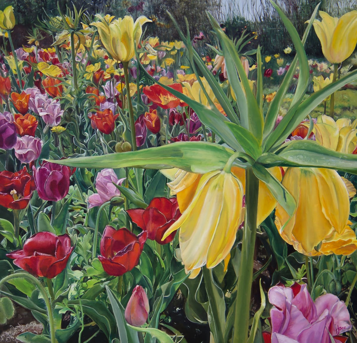 Carousel Tulips by Nila Jane Autry  Image: High resolution for printing