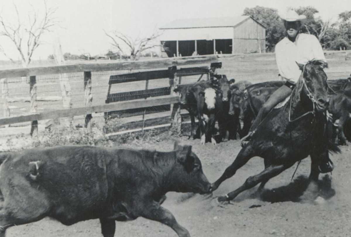 Kings Pistol, Image 1.