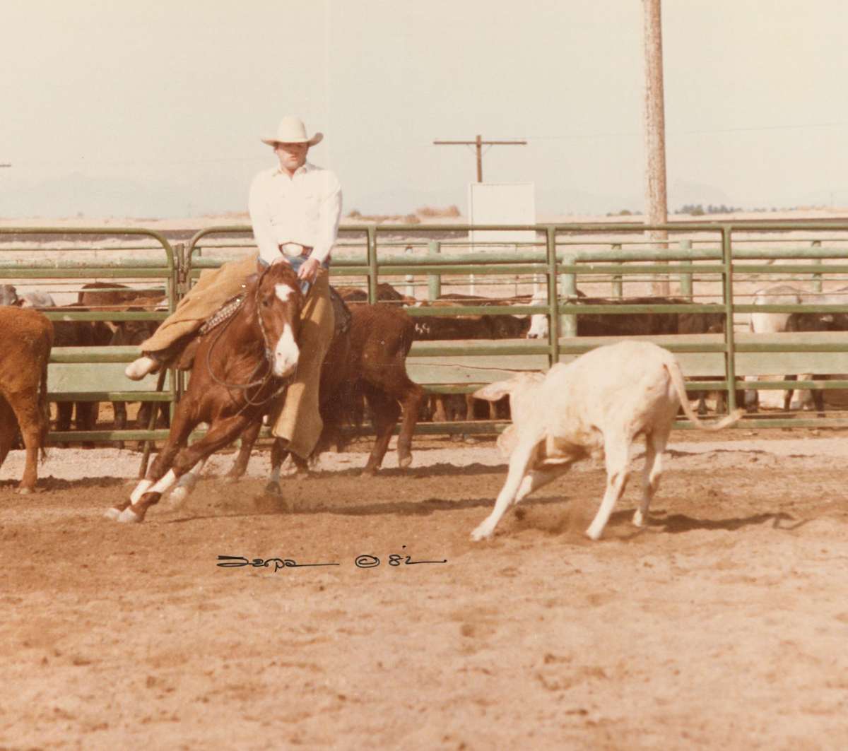 Freckles Loverboy, Image 1.
