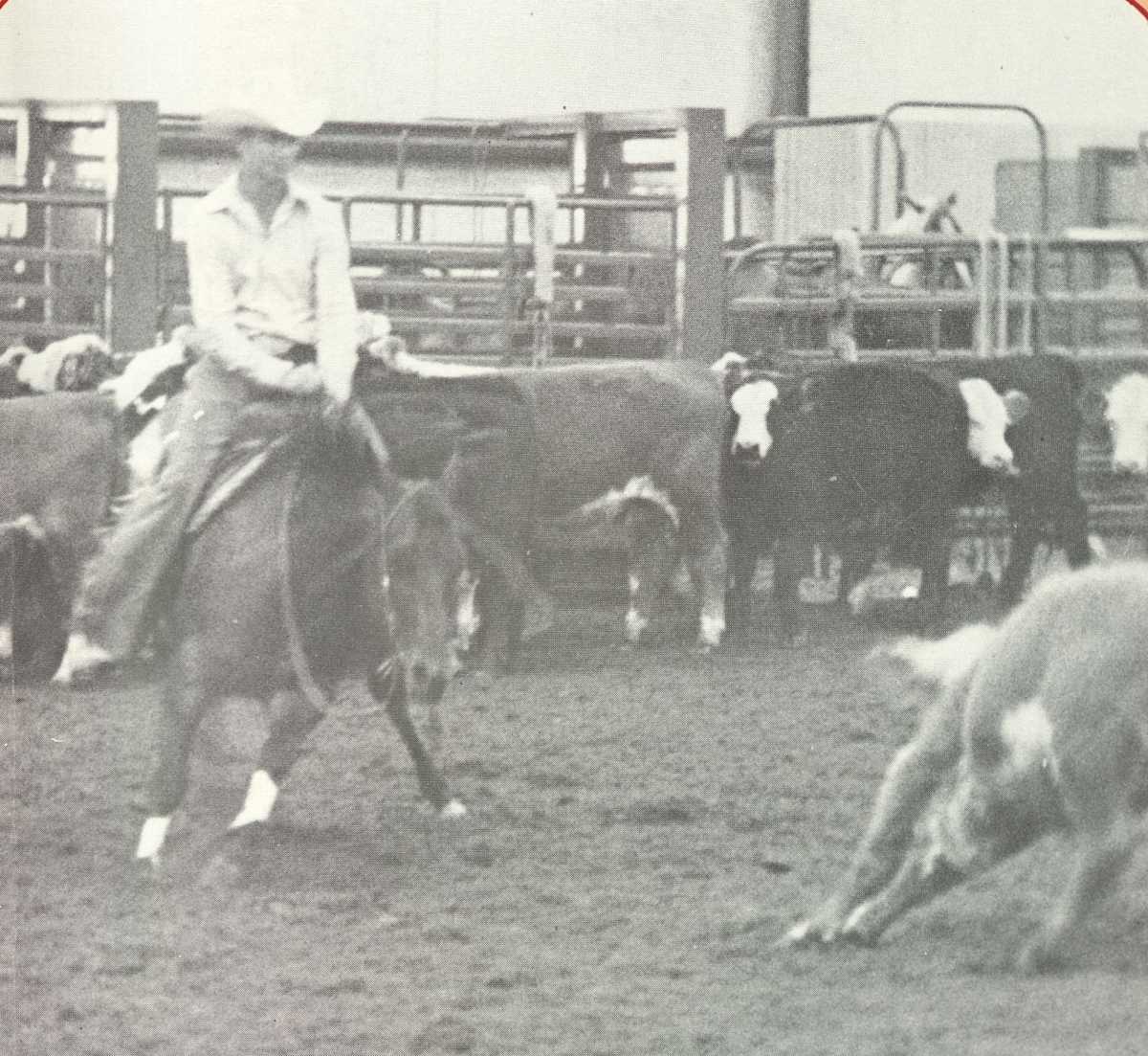 1978-2009 NCHA Past Open World Finals Champions  Image: 1978 NCHA Open World Finals Champion, Doc's Playmate. Ridden by Leon Harrel.