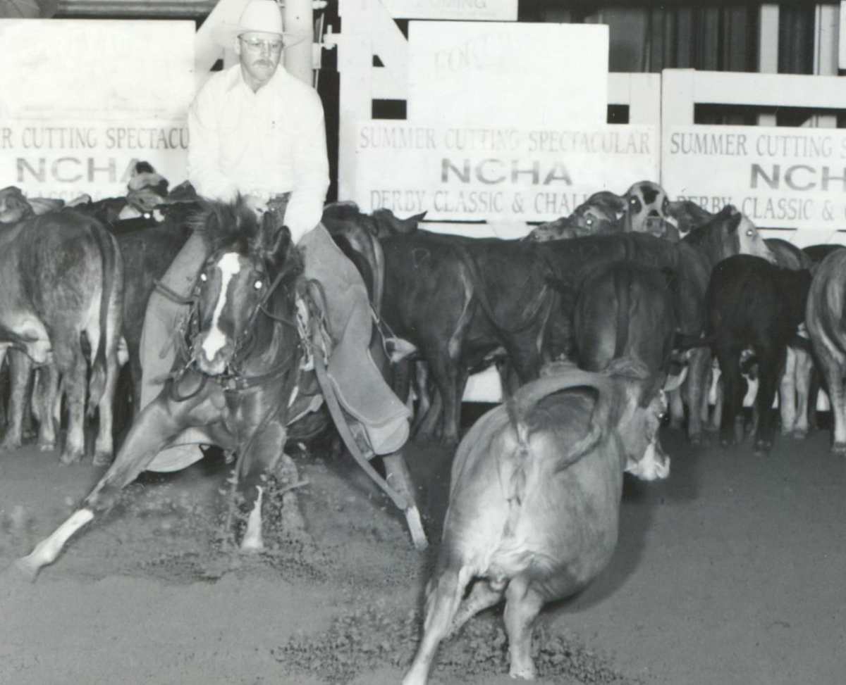 Irish Treat  Image: Irish Treat shown by Greg Welch at the NCHA Summer Spectacular. 
