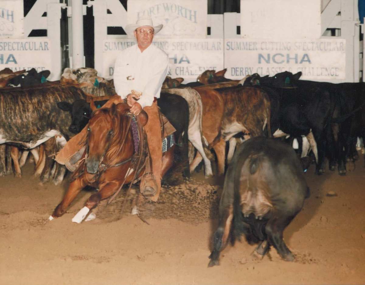 Macho Montana Marvel  Image: Macho Montana Marvel, shown by Bill Freeman at the 1993 Summer Spectacular Derby Open. 