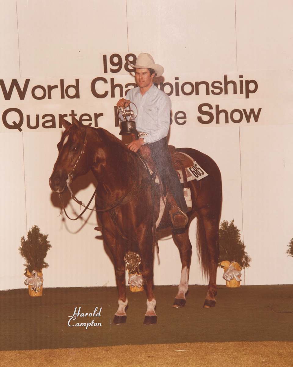 Major Investment, Image 1.