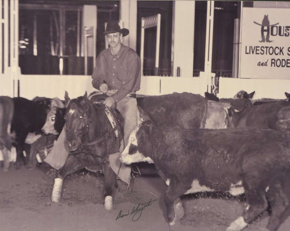 Mr. Mom  Image: Mr. Mom at the 1998 Houston Cutting, Open, shown by Bronc Willoughby.