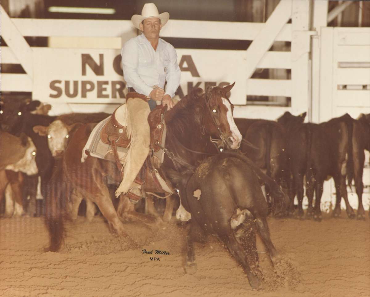 Mr San Mio, Image 1.