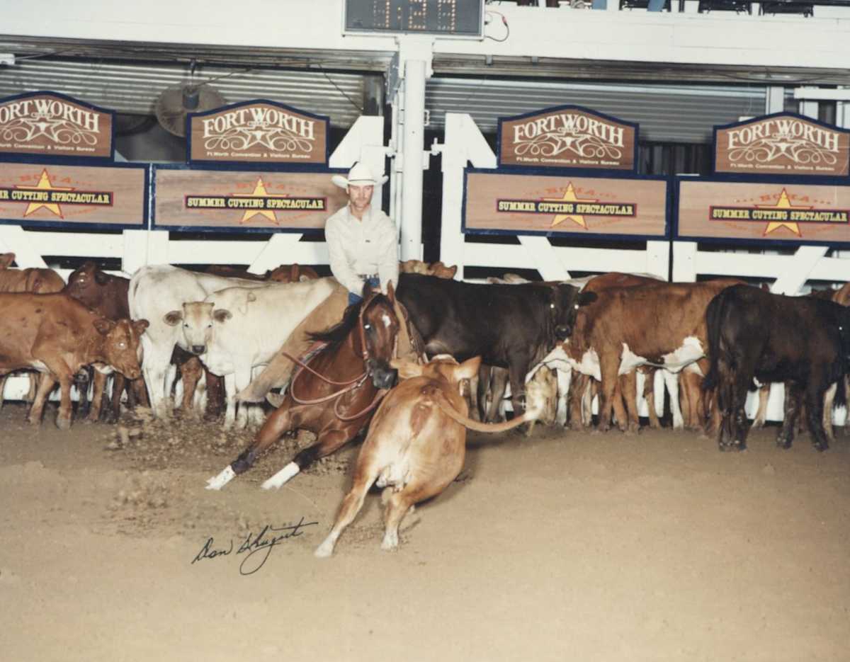 My Lady Stylish, Image 1.