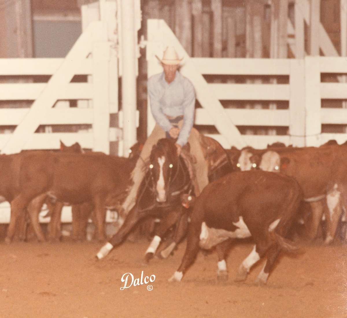 Oaklynn  Image: Oaklynn shown by Tom Lyons