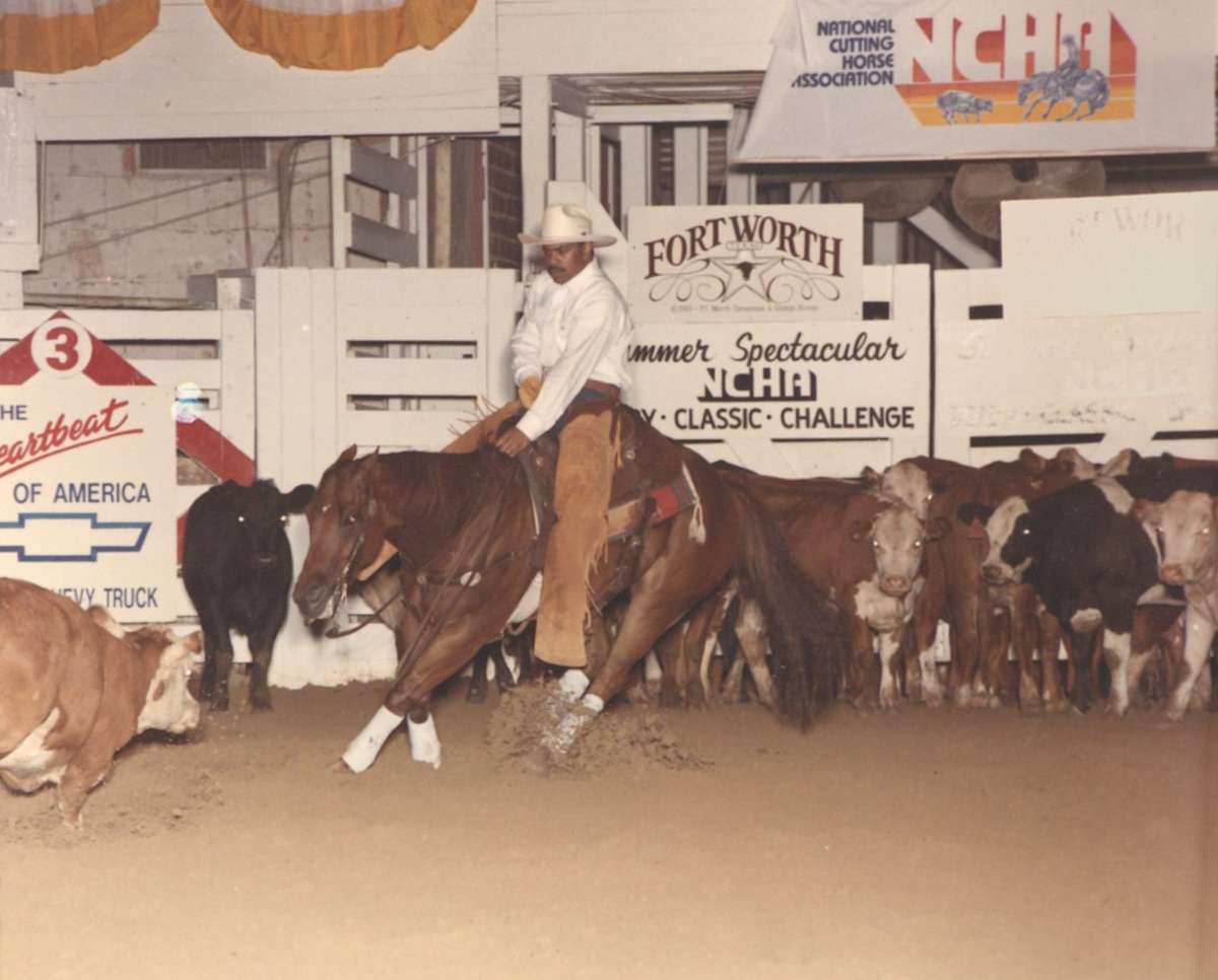 Ole Shady Oak, Image 1.