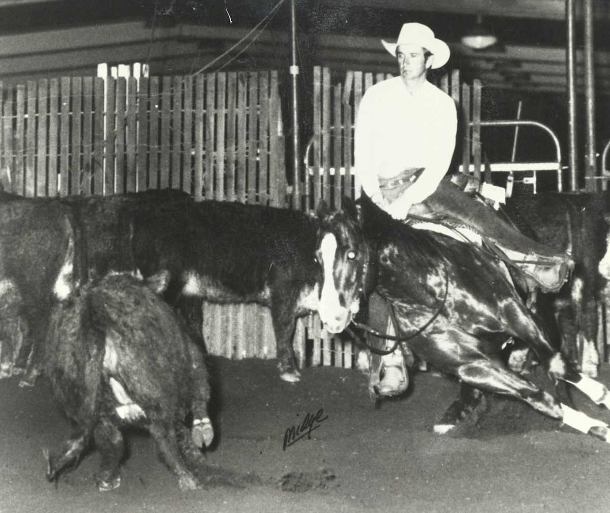 Partee Doc  Image: Partee Doc 