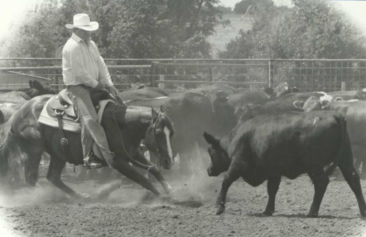 Particular Peppy  Image: Particular Peppy