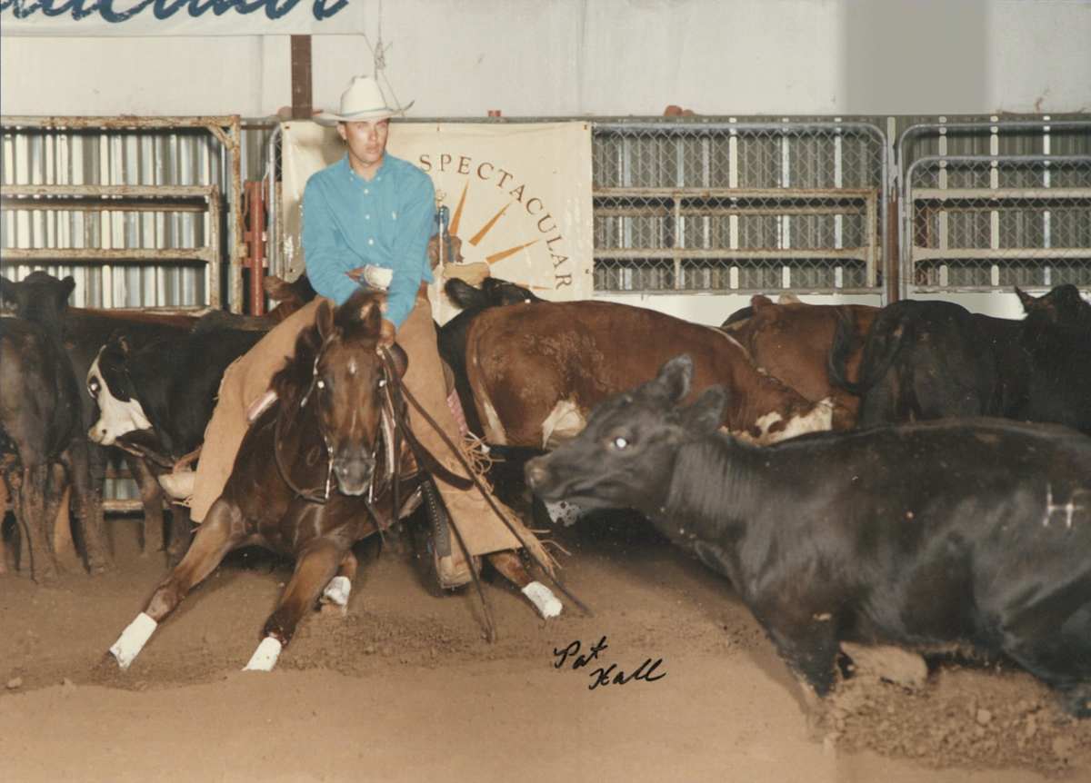 Pastel Playgirl, Image 1.