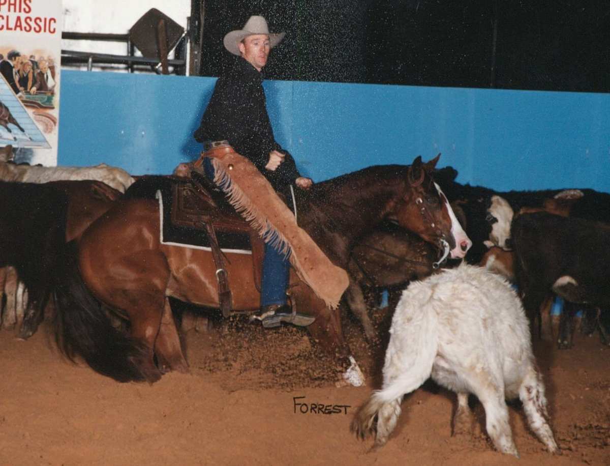 Down and Dually  Image: Down and Dually shown by Paul Hansma.