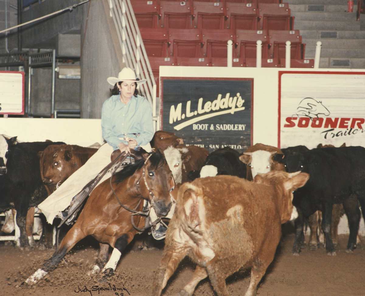 Pecoso Hurican, Image 1.