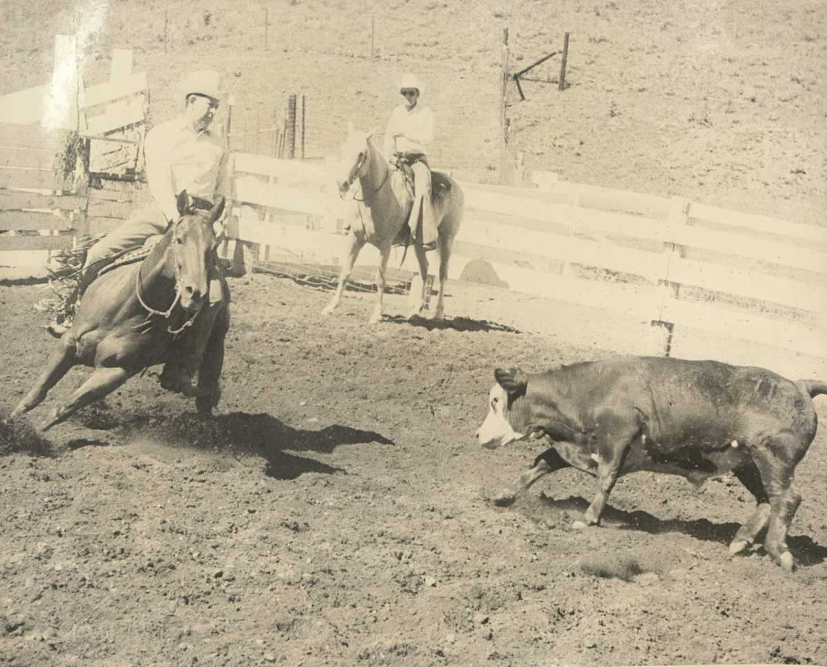 Peppy Little Joe, Image 1.