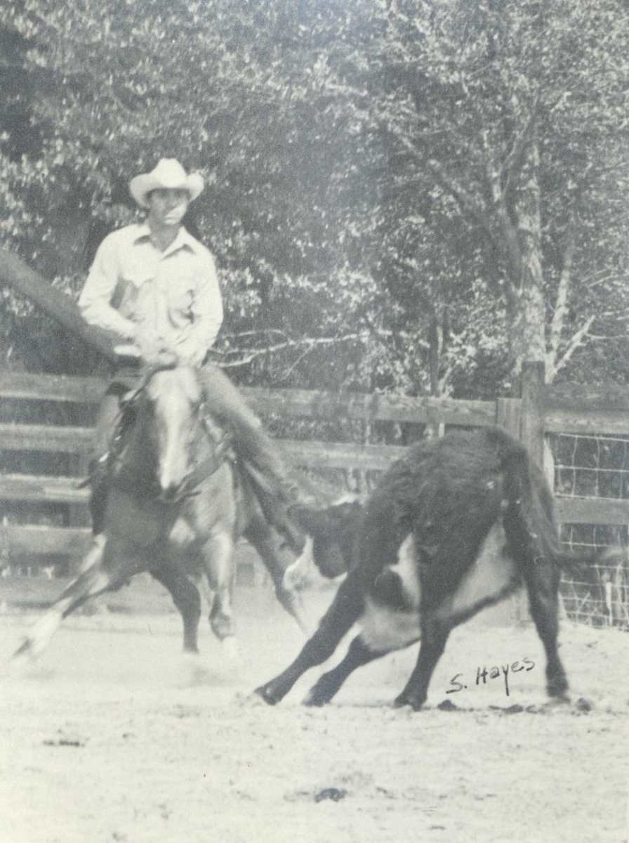 Rufus Hayes  Image: Rufus Hayes