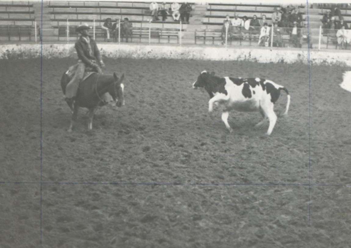 Ted Nicolas, Image 1.