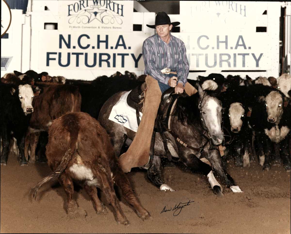 Tim Barry  Image: Tim Barry showing at the NCHA Futurity.