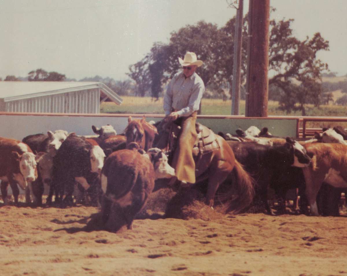 King Peppy San  Image: King Peppy San