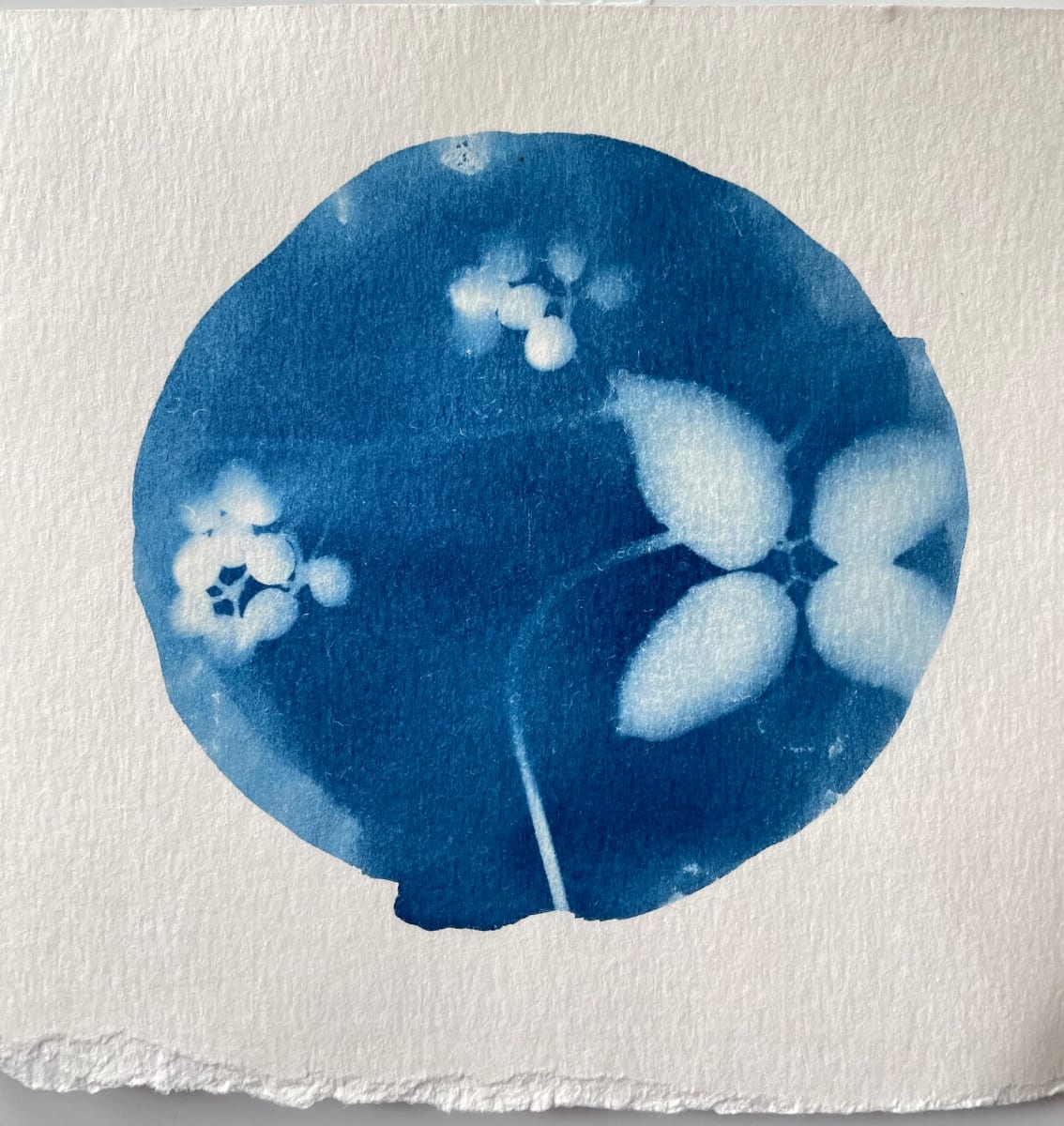 Paperweight by Doris Wasserman 