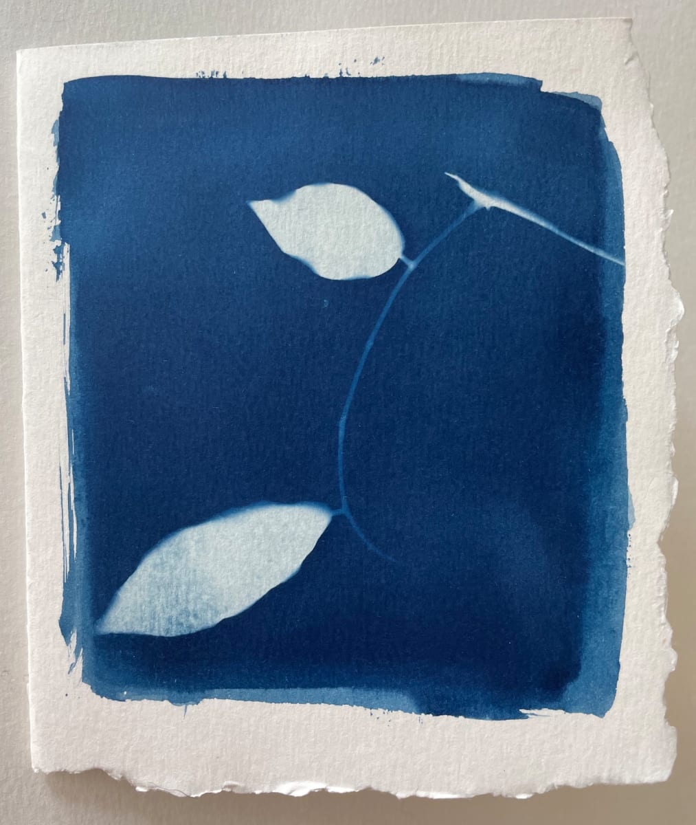 Petite with leaves by Doris Wasserman 