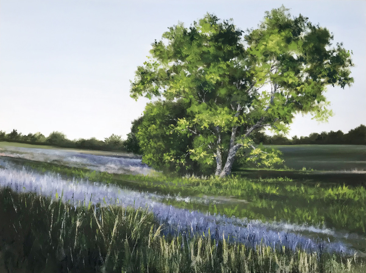 Illumination III by Jill Poyerd 