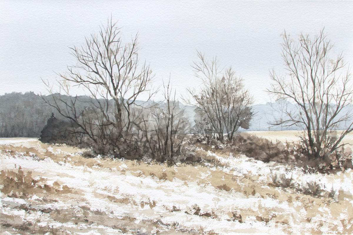 Winter Landscape by Jill Poyerd 