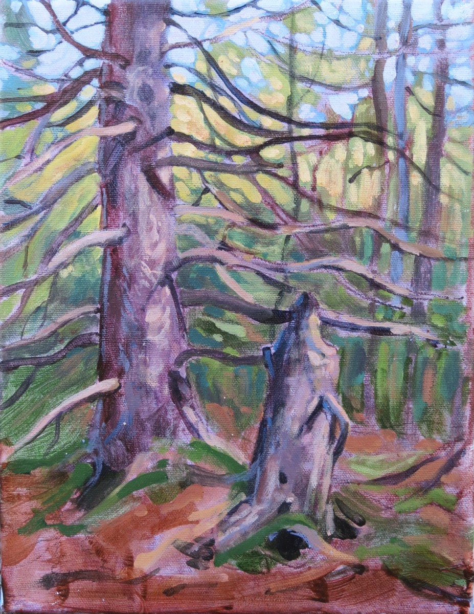 Old Pines Along the Trail by Angela St Jean 