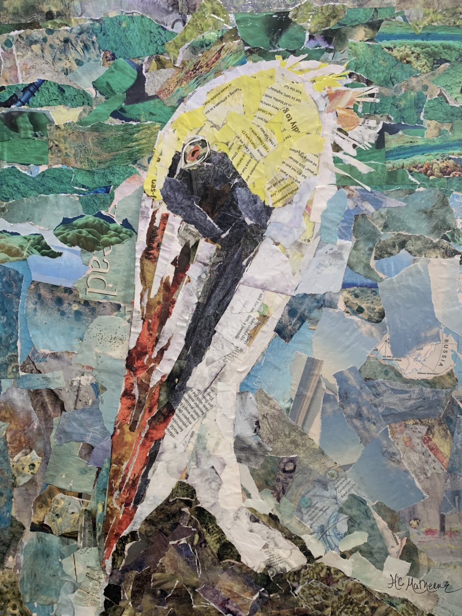Regalia by heidi matherne, Image 1.