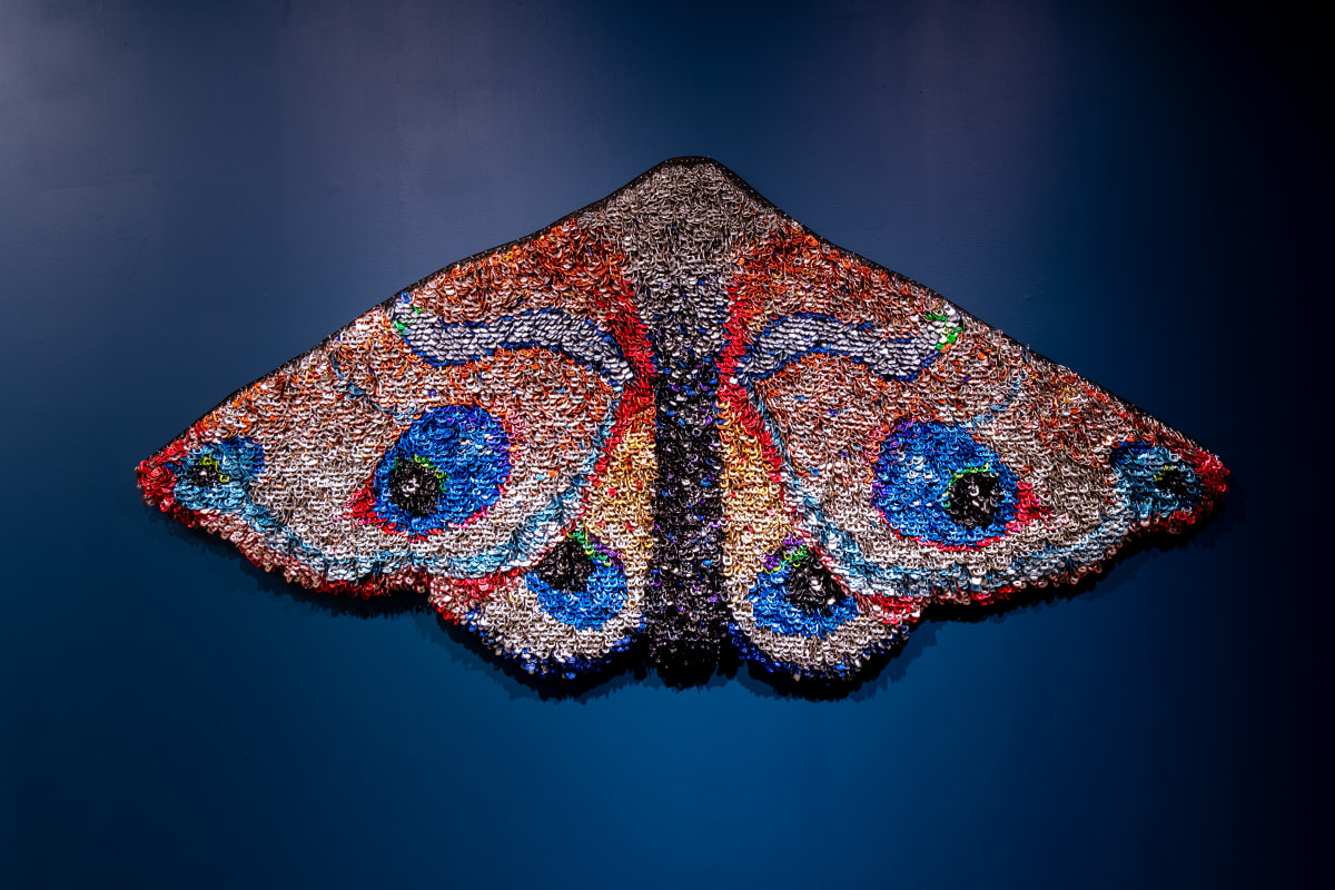 Moth by Virginia Fleck  Image: Photo Credit: Tyeschea West