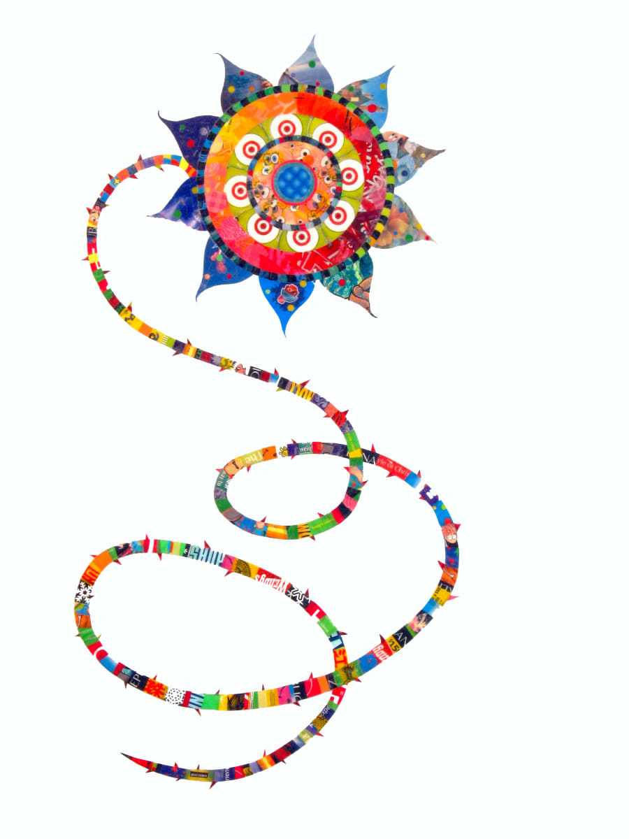 Passion Vine by Virginia Fleck 