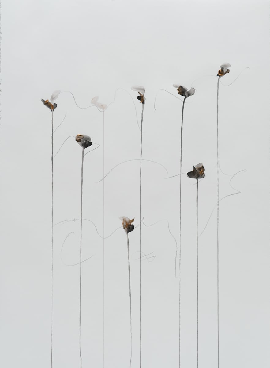 IIWAM 100 a by Lisa Ochowycz, Image 2.