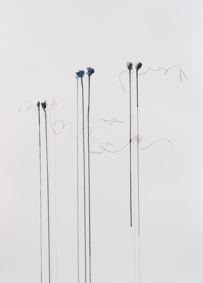 IIWAM 132 a, Image 12.