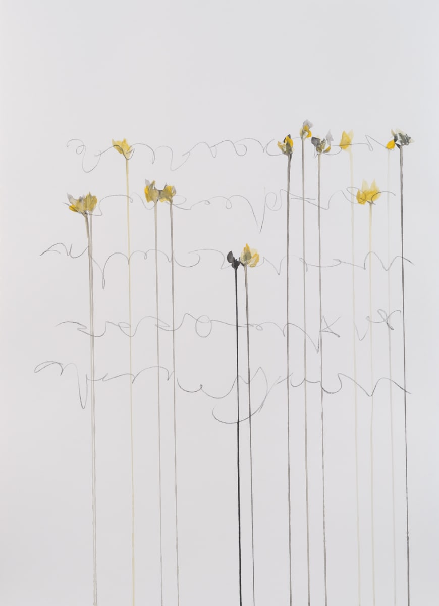 IIWAM 145, Image 18.