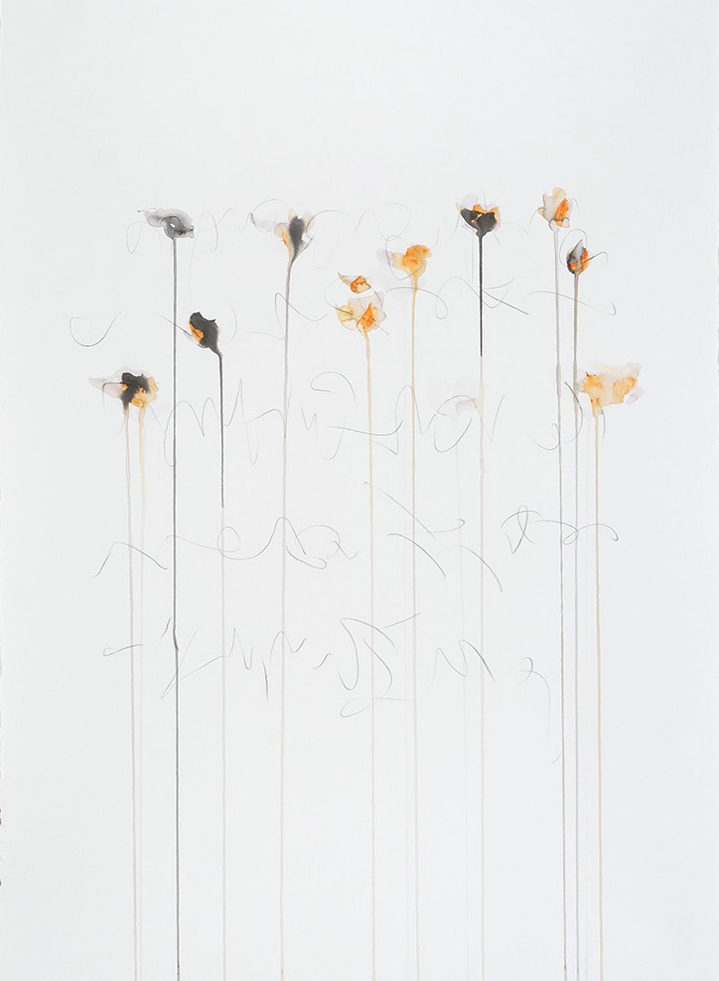 IIWAM 152 a, Image 1.