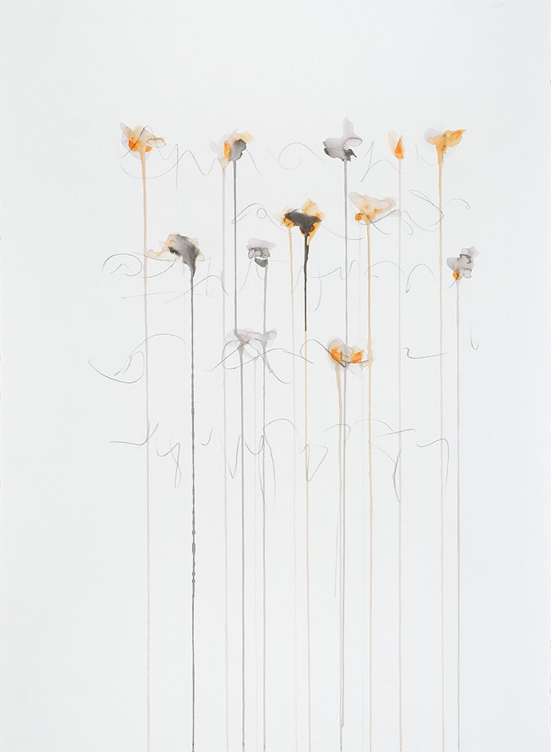 IIWAM 152 b, Image 1.
