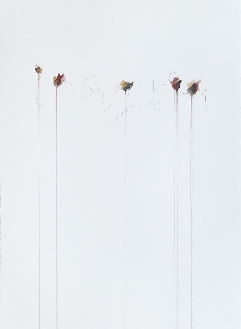 IIWAM 180 a, Image 1.